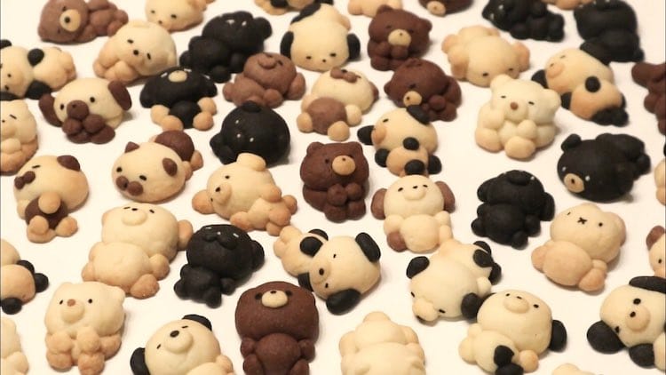 Japanese Dessert Artist Makes Adorable Animal Cookies