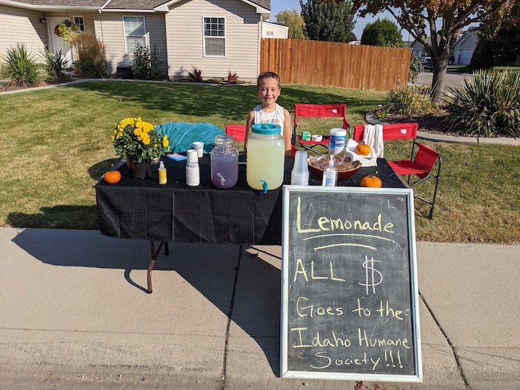 Kids Lemonade Stand Raises Money for Idaho Humane Society
