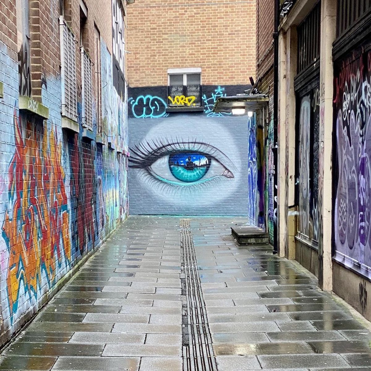 Realistic Eye Murals by My Dog Sighs