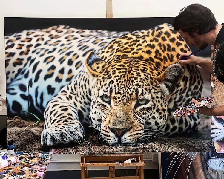 Big Cats Come Alive in Hyperrealistic Acrylic Paintings