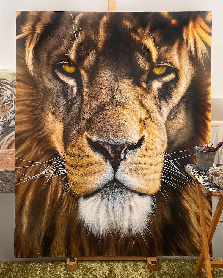 Pinturas hiper-realistas de grandes felinos de Nick Sider