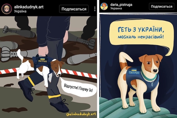 Patron the Bomb Sniffing Dog Hero in Ukraine