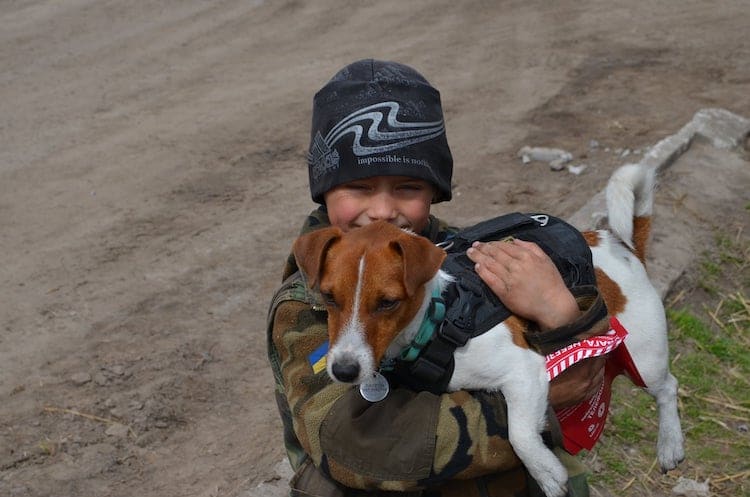 Patron the Bomb Sniffing Dog Hero in Ukraine