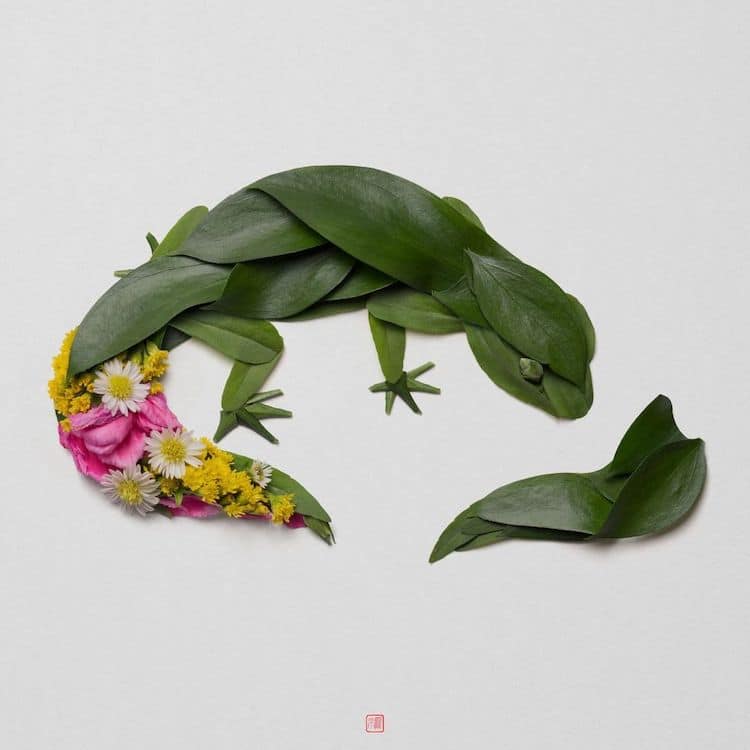 Plant Arrangements by Raku Inoue