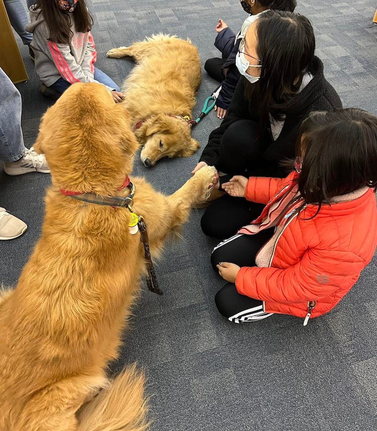 Penny and Spencer Therapy Dogs
