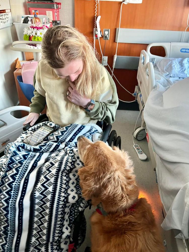 Therapy Dog at a Hospital