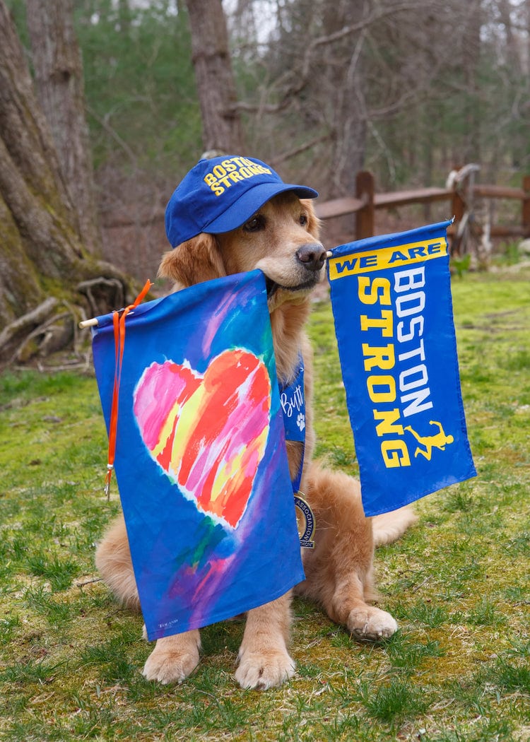 Spencer the Golden Retriever, Boston Marathon Mascot