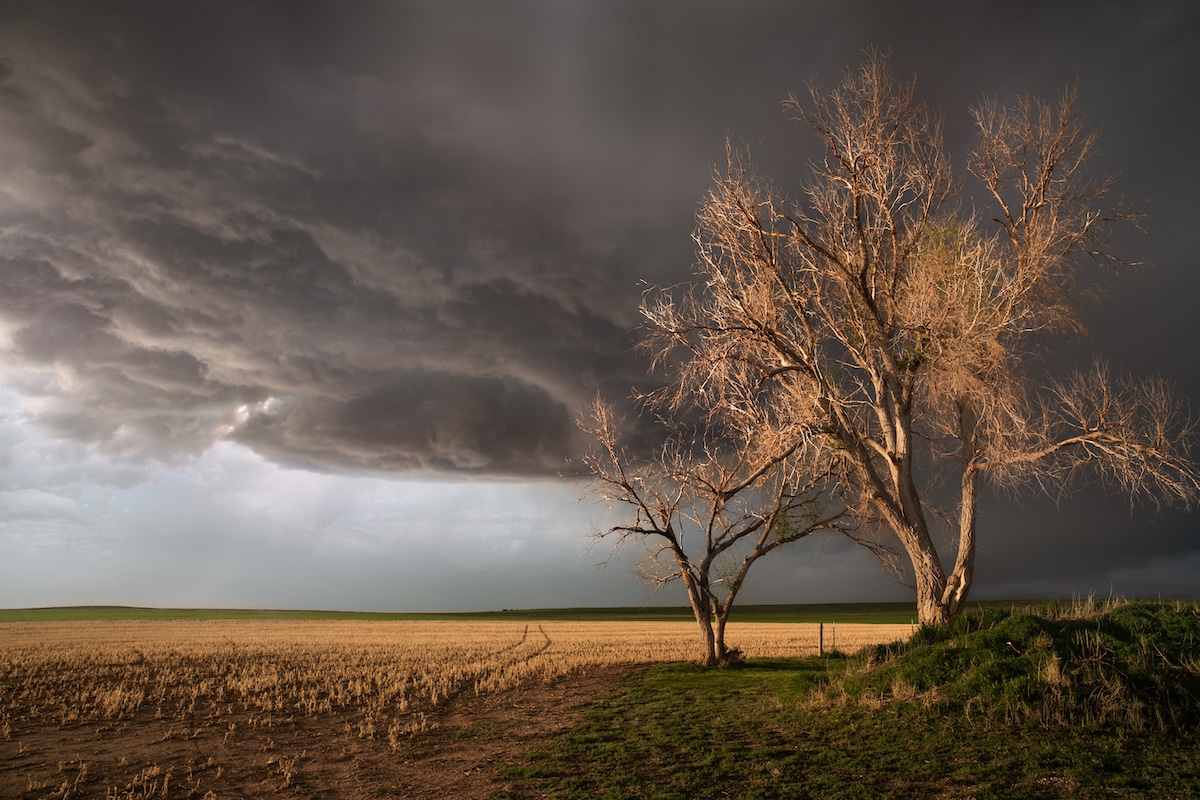Dark Storm Clouds Over a Landscape