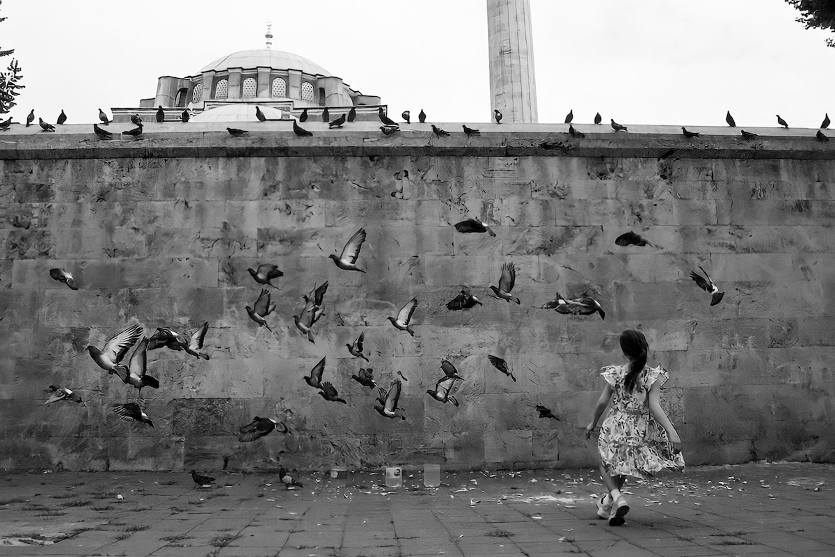 Girl Chasing After Pigeons