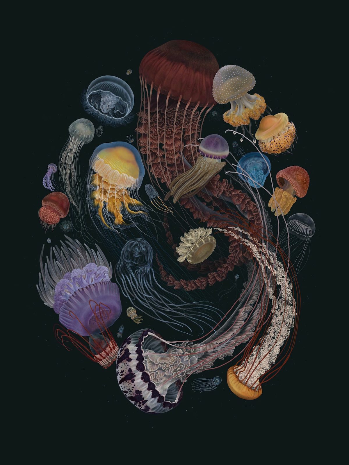 Illustrated Ocean Art Raises Awareness of Marine Life Extinction