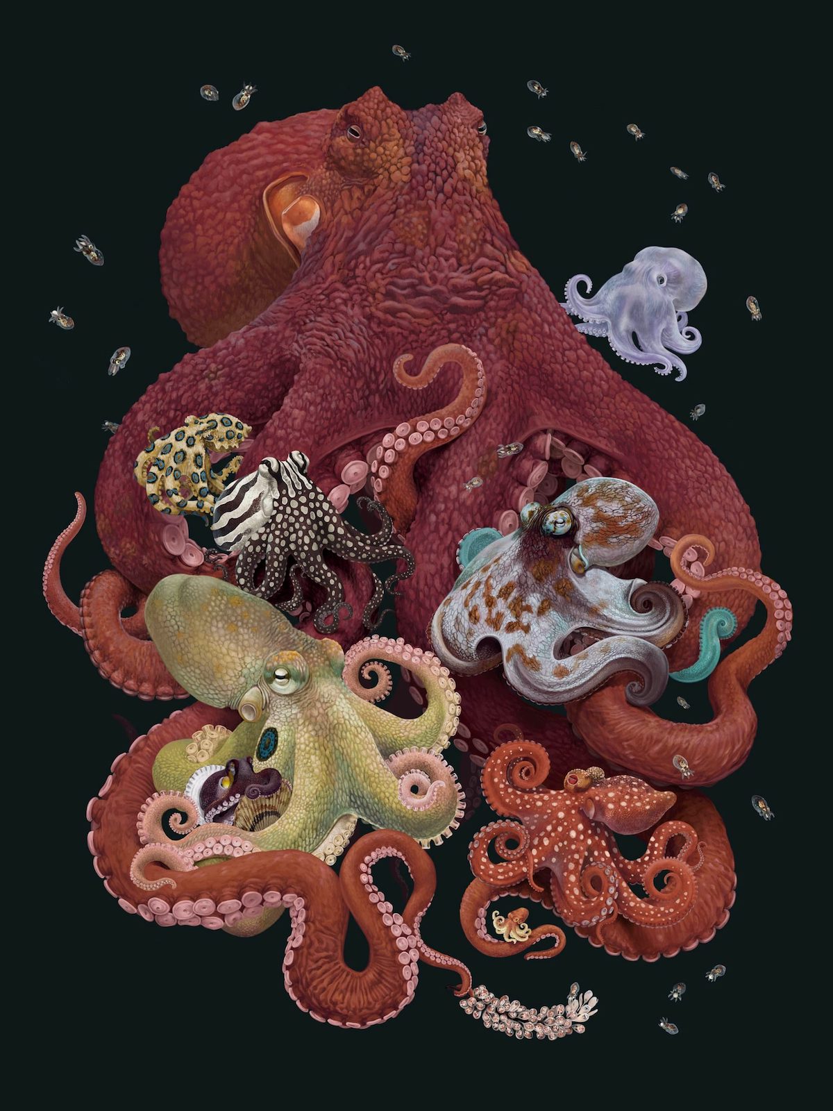 Illustrated Ocean Art Raises Awareness of Marine Life Extinction