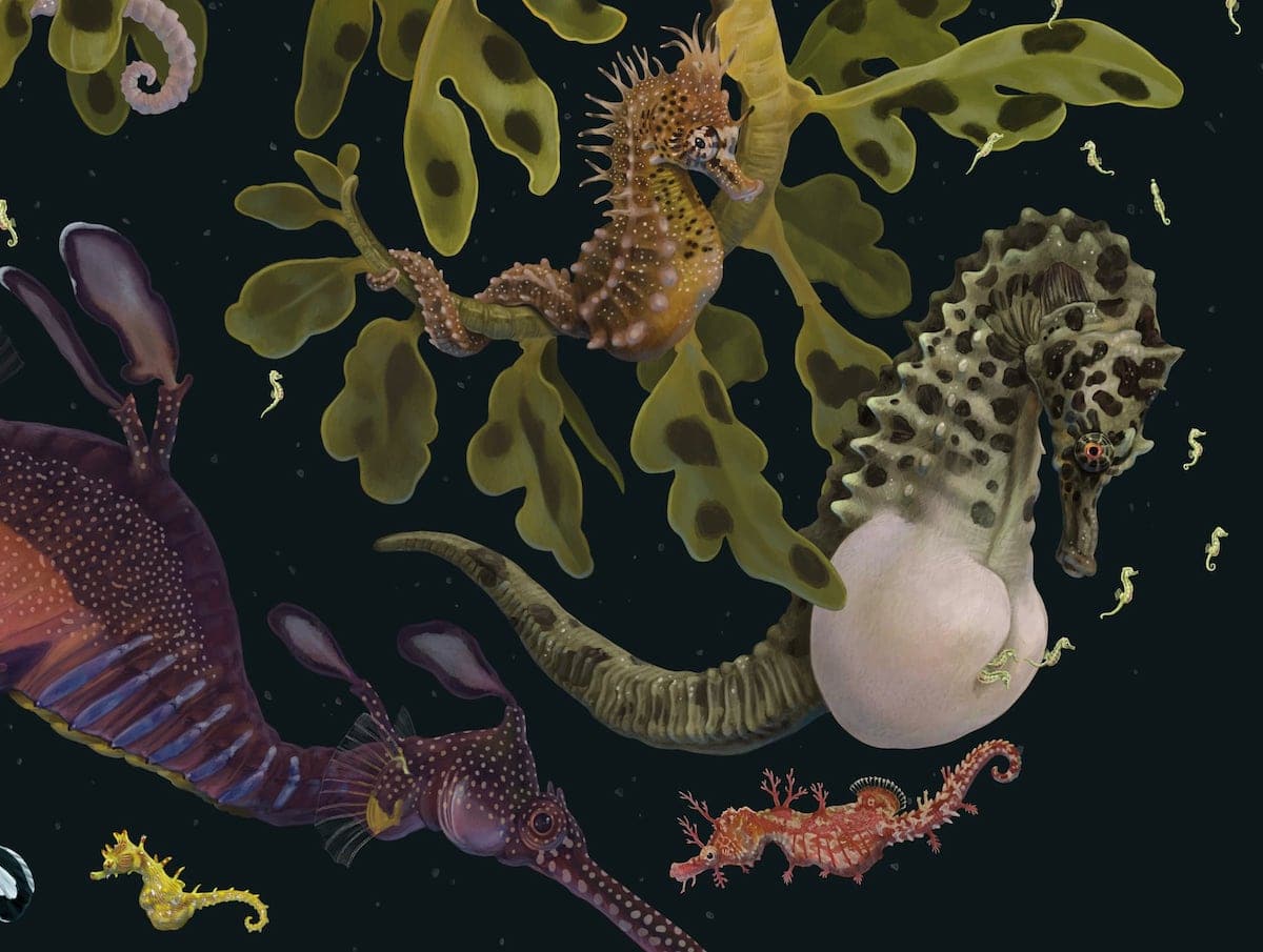 Illustrated Ocean Art Raises Awareness of Marine Life Extinction