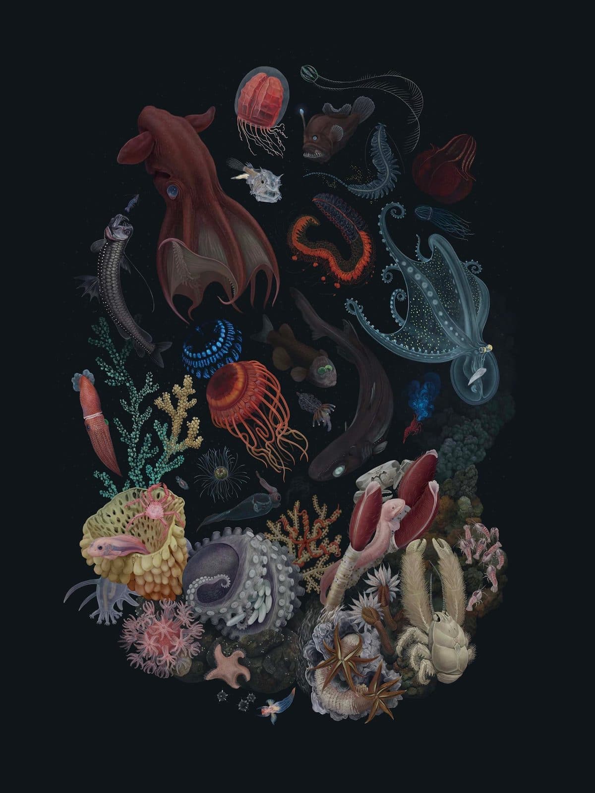 Ocean Biodiversity Paintings by Zoe Keller
