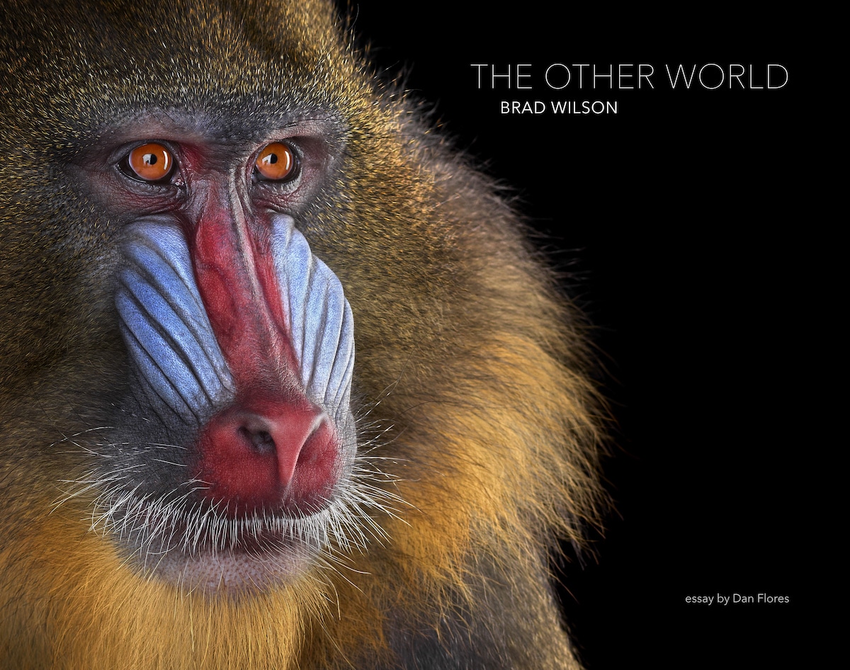 The Other World Book by Brad Wilson