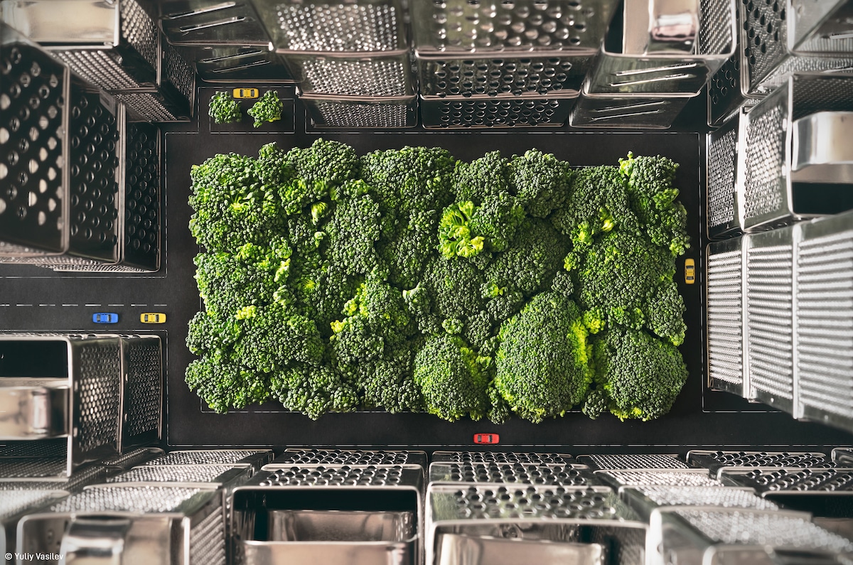 Miniature Central Park Made from Broccoli