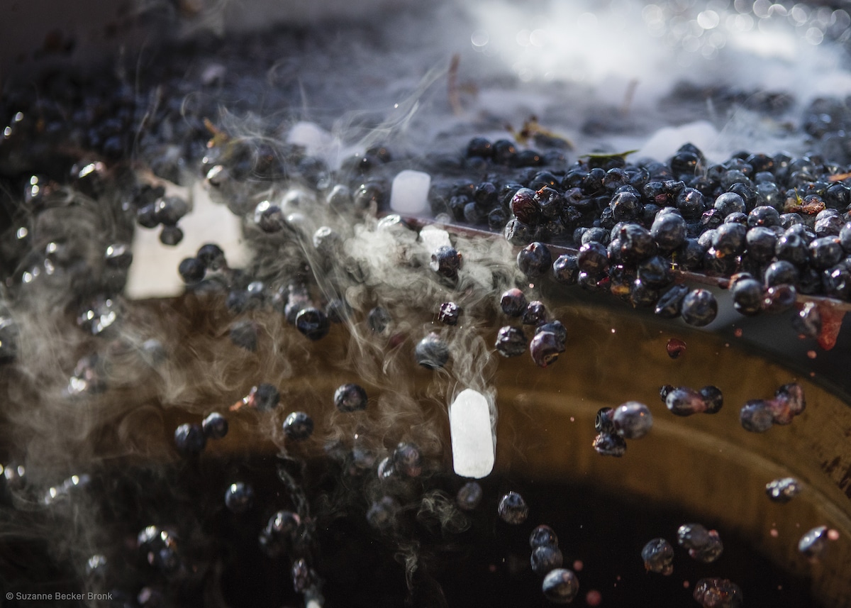 Dry ice is used to inhibit the start of fermentation at Caldwell Vineyard