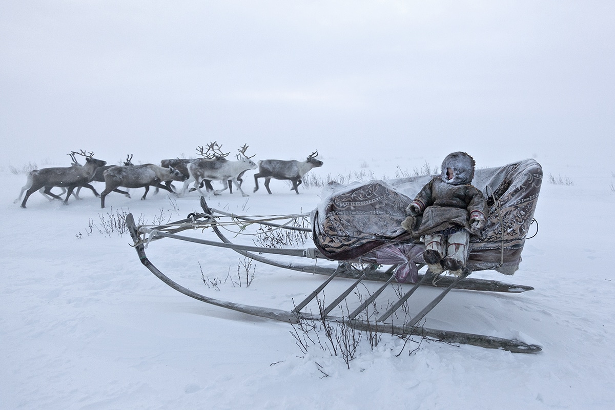 Nenet Sitting on a Sled in Siberia