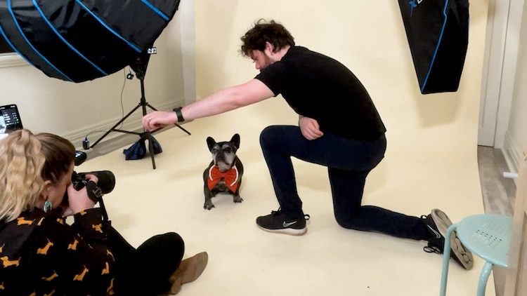 Pet Photography Class