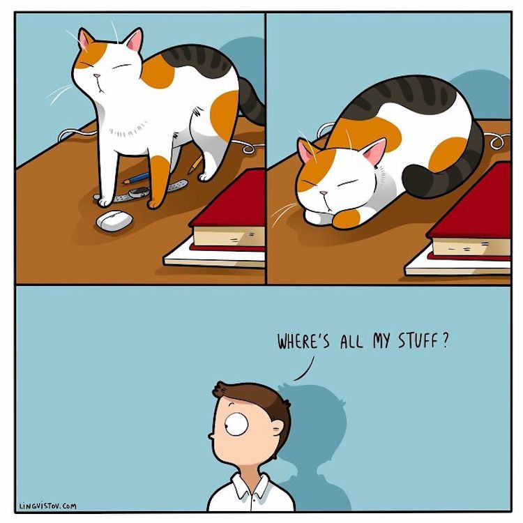 Funny Cat Comic 2315