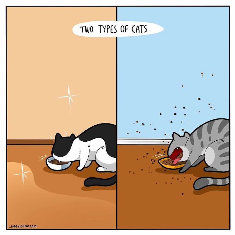 dog and cat comic