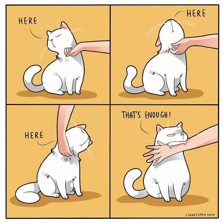 dog and cat comic