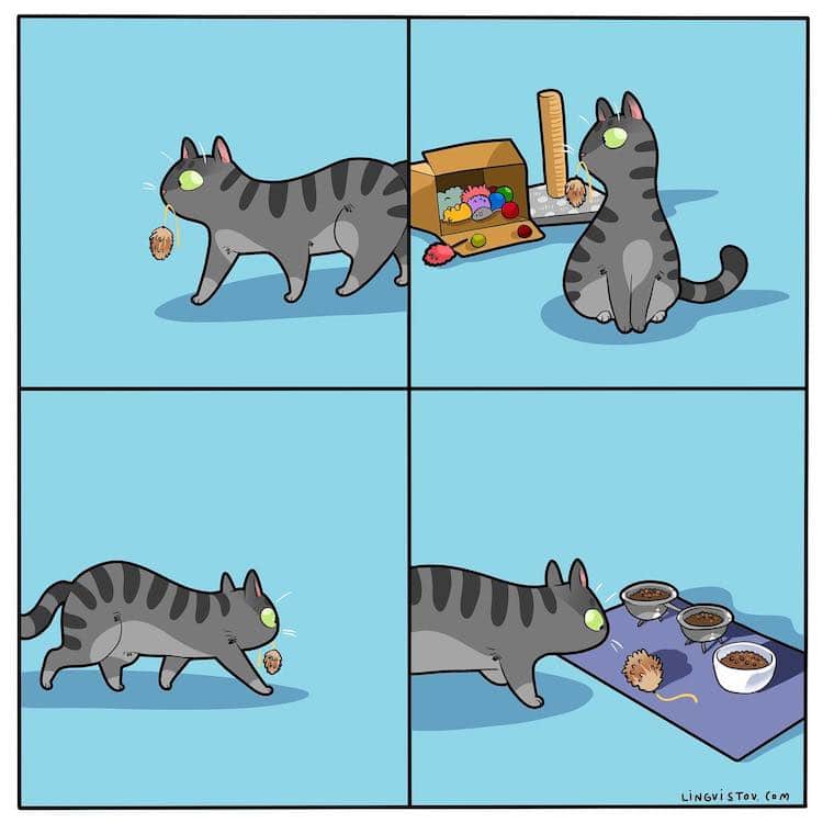 Relatable Cat Comics