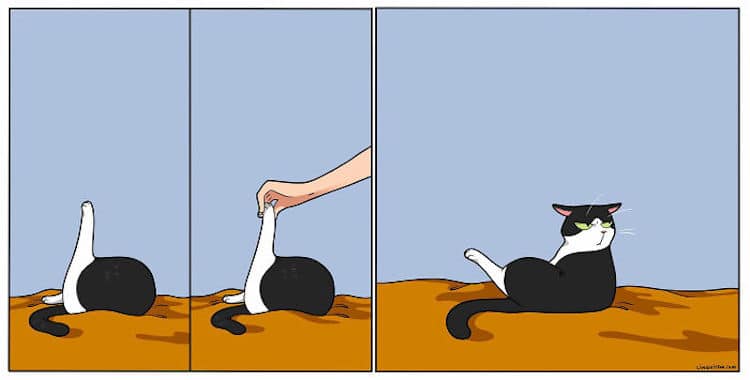 Funny Cat Comics by Lingvistov