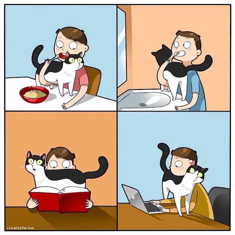 Funny Cat Comics by Lingvistov