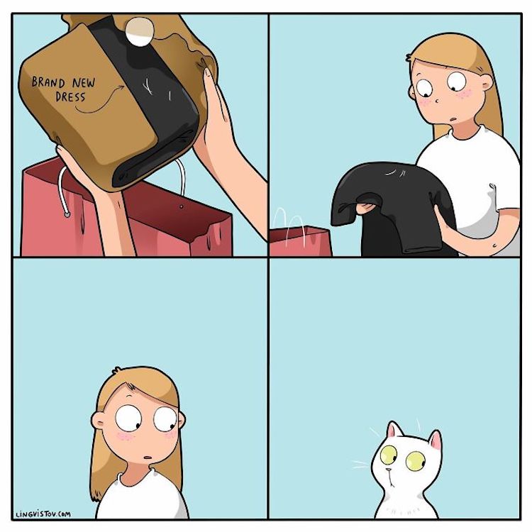 Webcomic de gatos