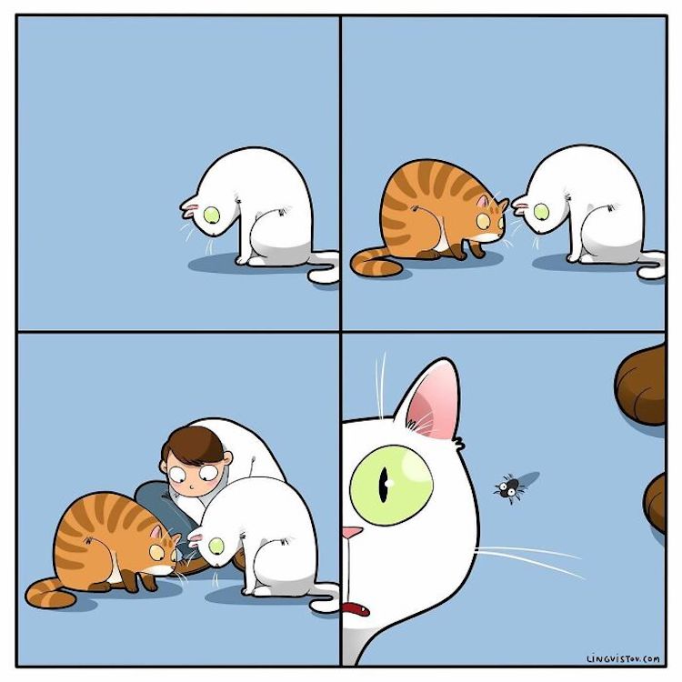 Relatable Cat Comics