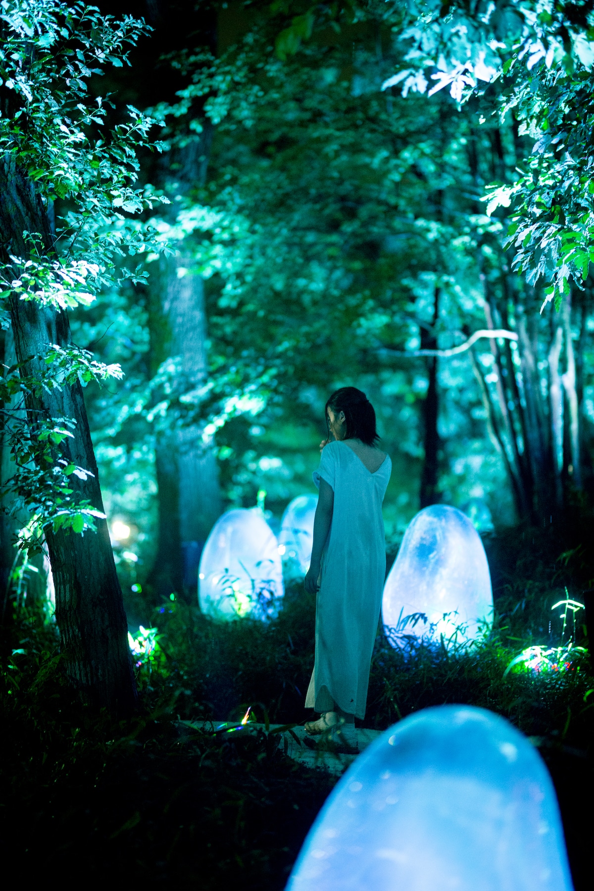 Installation at Nagai Botanical Gardens in Osaka