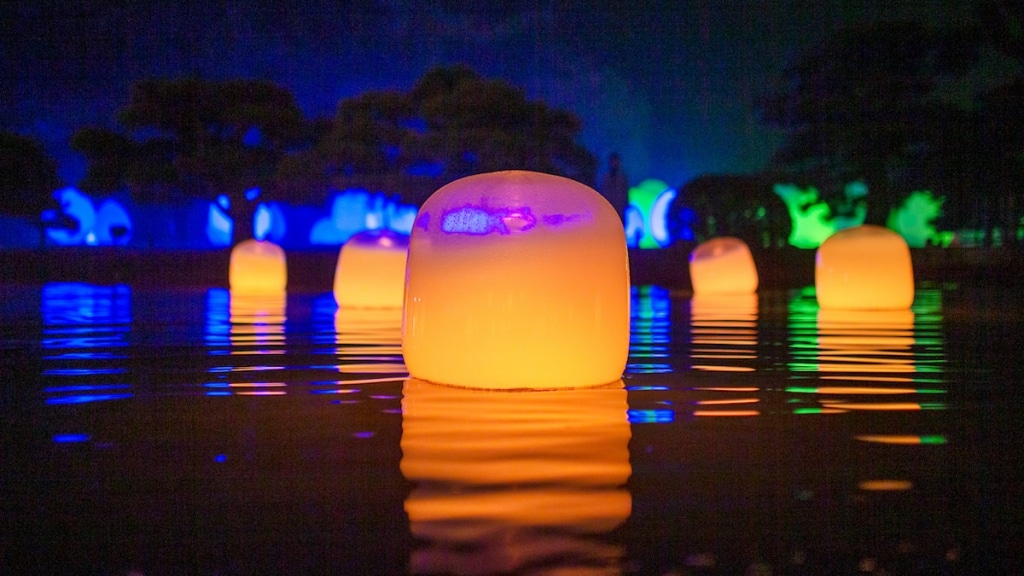 Immersive Installation Takes Over a Japanese Botanical Garden Turning