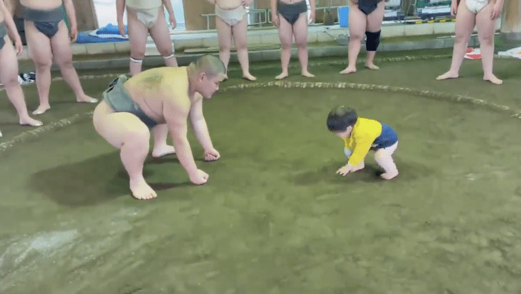 Niño pequeño 'pelea' contra un luchador de sumo profesional