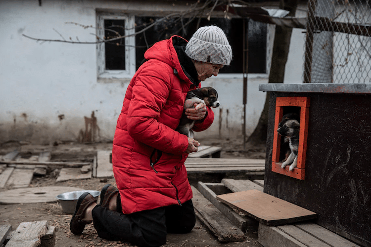 Ukraine Woman Risks Life To Save Animal Shelter