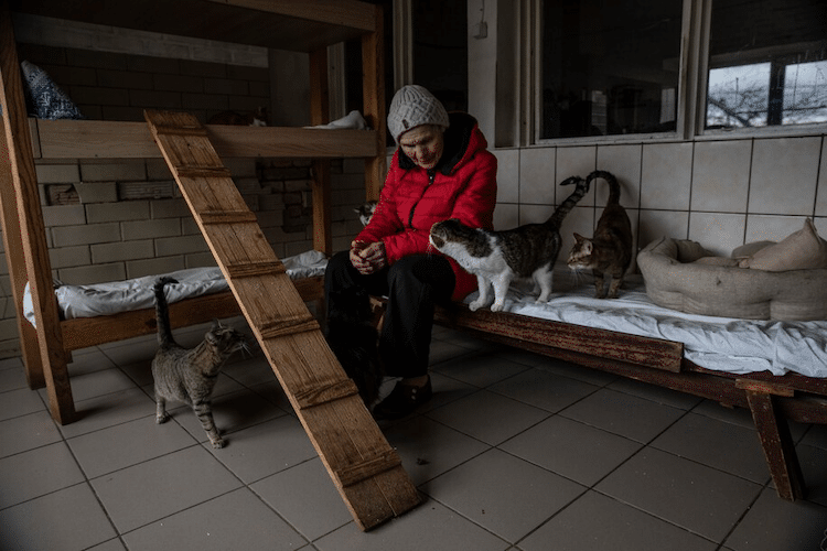 Ukraine Woman Risks Life To Save Animal Shelter