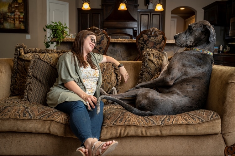 Zeus On The Couch With His Owner