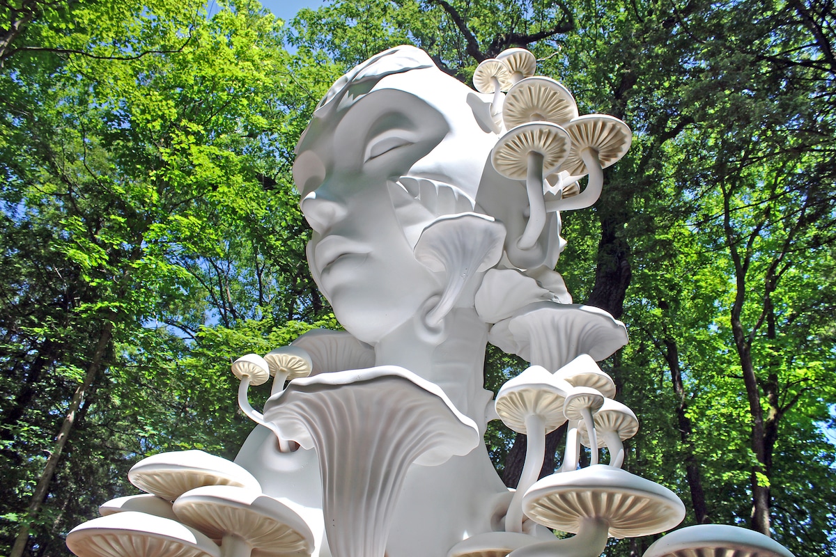 Mycelia Sculpture at the Morton Arboretum by Daniel Popper