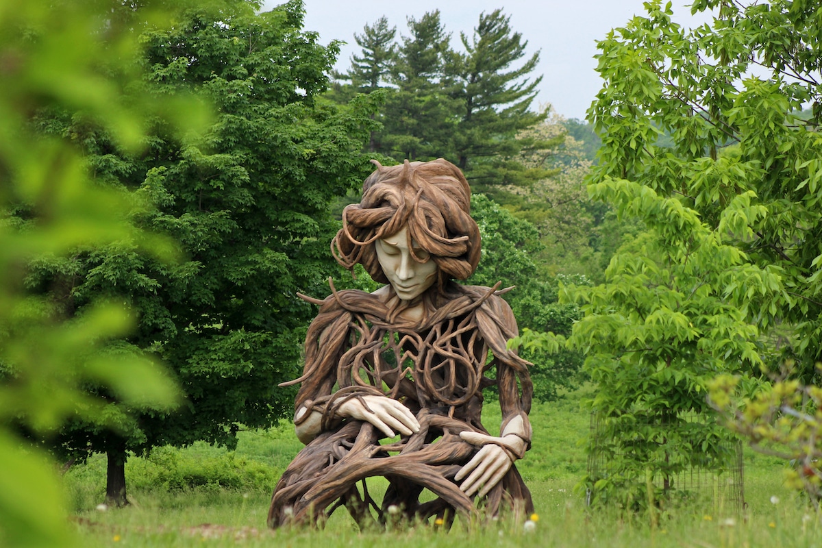Exposición Human+Nature de Daniel Popper en el Arboreto Morton