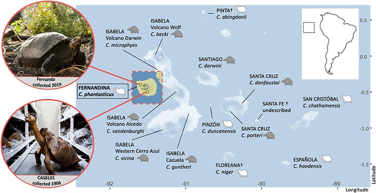 Map of Galapagos Tortoises