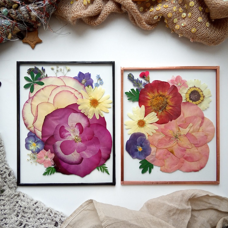 Flower Press Studio's Colorful Compositions Preserve Botanicals and  Bouquets for Posterity — Colossal