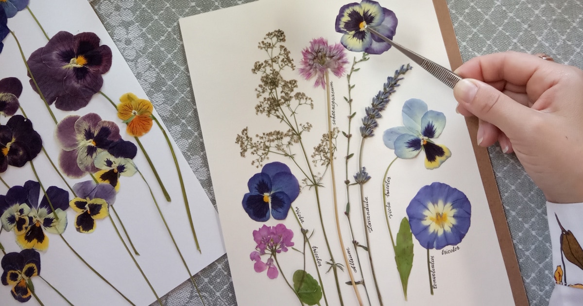 [Online] Pressed Flower Collage Class