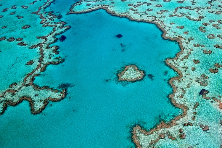 Heart Reef in Australia