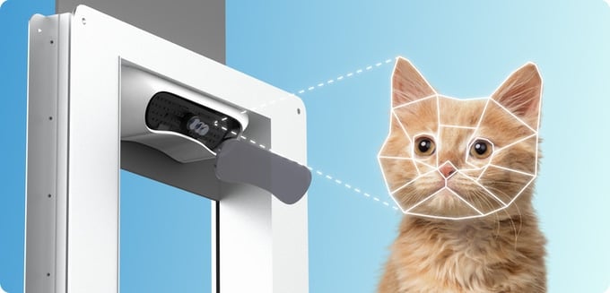 Petvation Facial Recognition of Cat