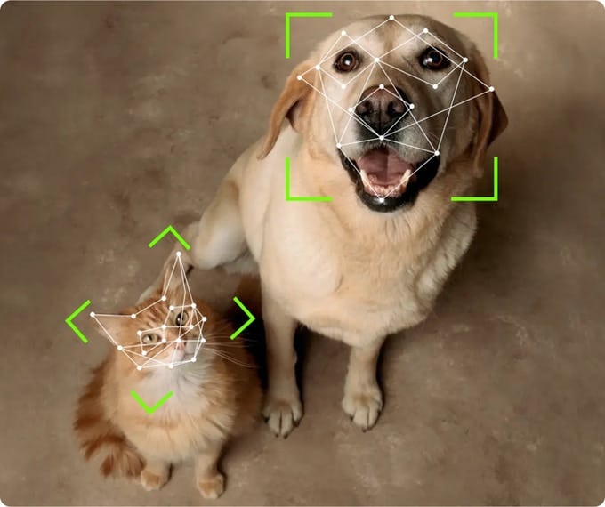 Petvation Facial Recognition of Cat and Dog