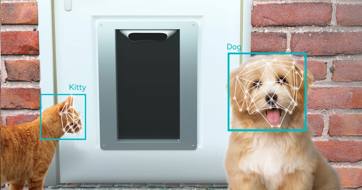 Este sensor abre la puerta del patio solo a tu mascota