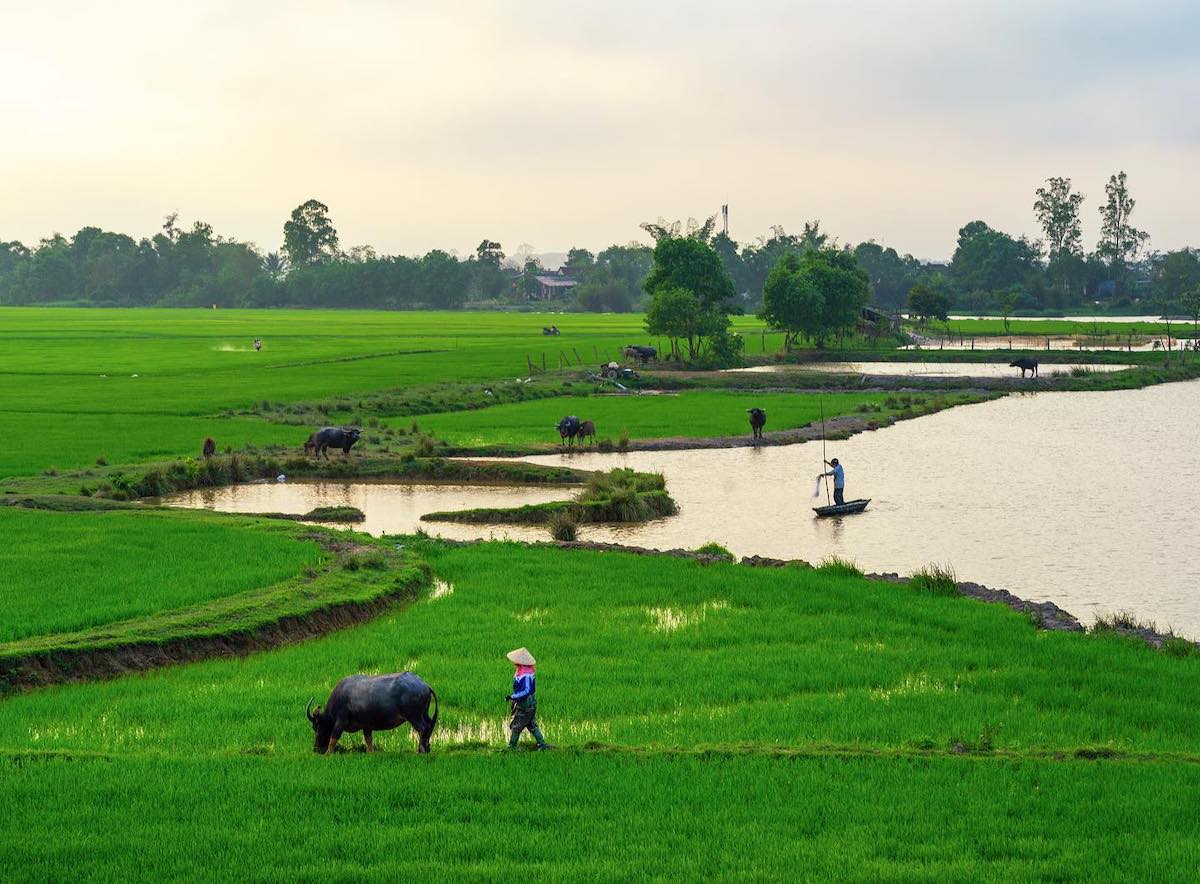 Countryside in Vietnam