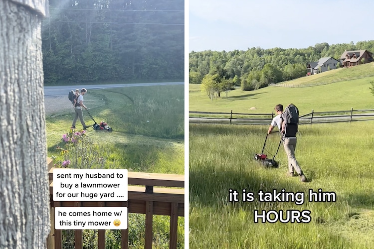 Nice Neighbors Help Dad Mowing Lawn With Tiny Lawn Mower