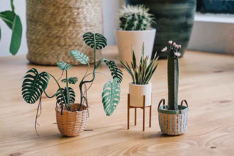 Artist Creates a Tiny Indoor Garden By Crafting Miniature Plants