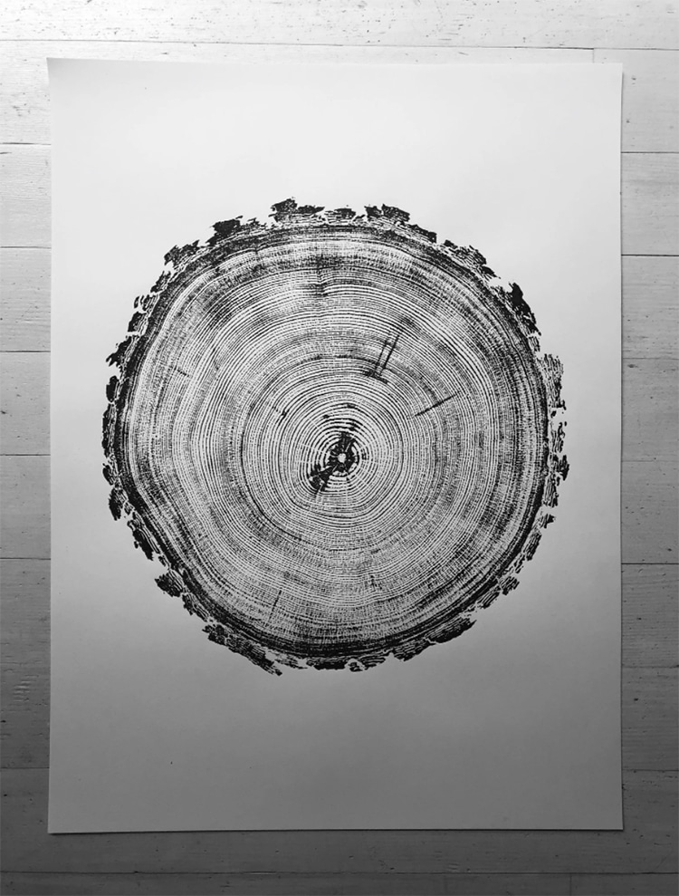 Denver Tree Ring Print