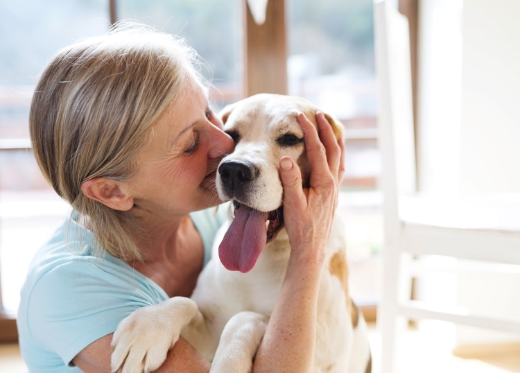 Owner Holding Dog